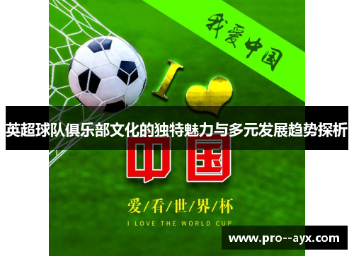 英超球队俱乐部文化的独特魅力与多元发展趋势探析 英超球队俱乐部文化的独特魅力与多元发展趋势探析
