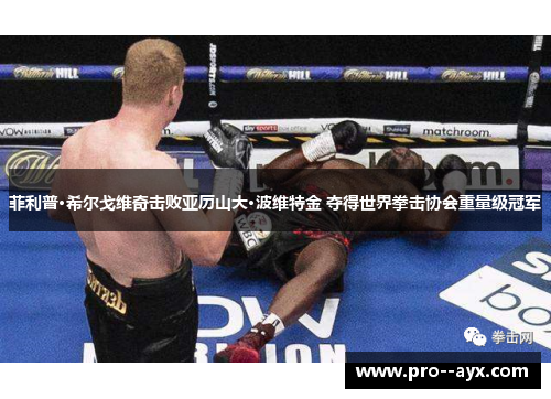 菲利普·希尔戈维奇击败亚历山大·波维特金 夺得世界拳击协会重量级冠军