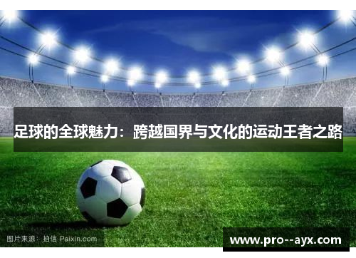 足球的全球魅力：跨越国界与文化的运动王者之路