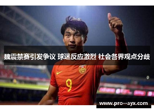 魏震禁赛引发争议 球迷反应激烈 社会各界观点分歧