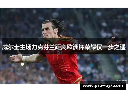威尔士主场力克芬兰距离欧洲杯荣耀仅一步之遥