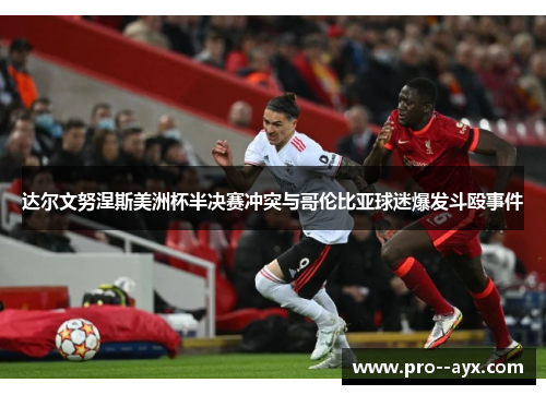 达尔文努涅斯美洲杯半决赛冲突与哥伦比亚球迷爆发斗殴事件 达尔文努涅斯美洲杯半决赛冲突与哥伦比亚球迷爆发斗殴事件